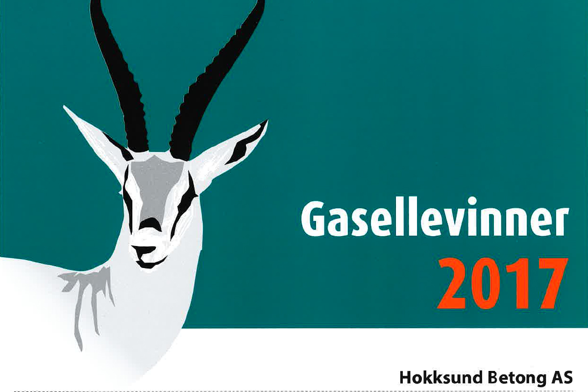 Gesellevinner 2017